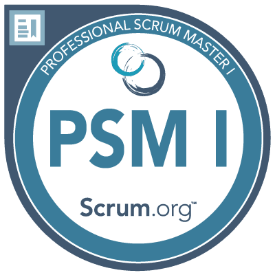 Professional Scrum Master